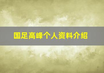 国足高峰个人资料介绍