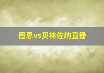 图恩vs贝林佐纳直播