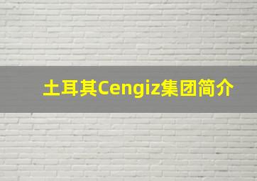 土耳其Cengiz集团简介