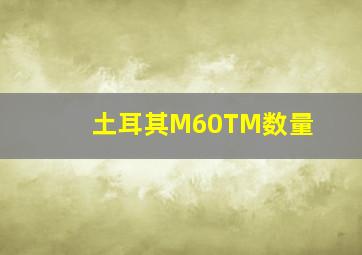 土耳其M60TM数量