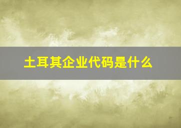 土耳其企业代码是什么