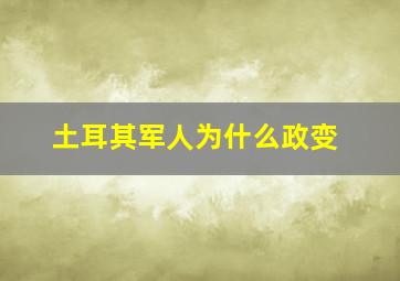 土耳其军人为什么政变