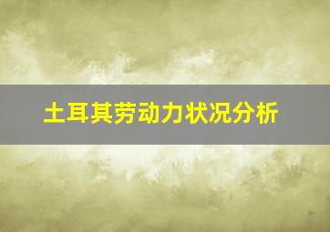 土耳其劳动力状况分析