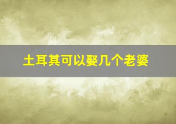 土耳其可以娶几个老婆