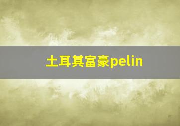 土耳其富豪pelin