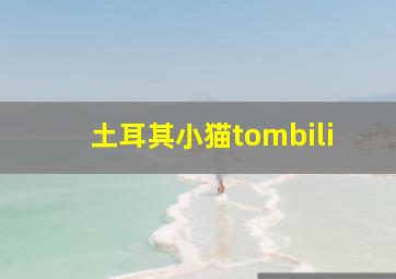 土耳其小猫tombili