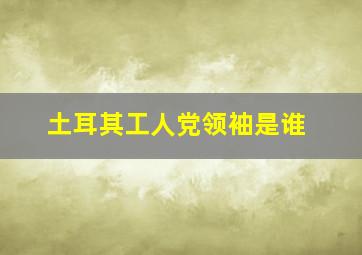 土耳其工人党领袖是谁