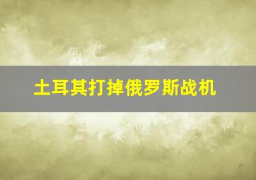 土耳其打掉俄罗斯战机