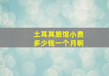 土耳其旅馆小费多少钱一个月啊