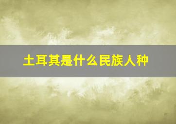 土耳其是什么民族人种