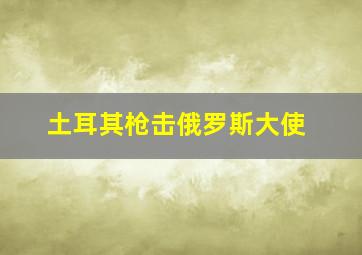 土耳其枪击俄罗斯大使