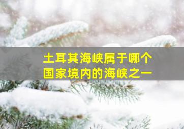 土耳其海峡属于哪个国家境内的海峡之一