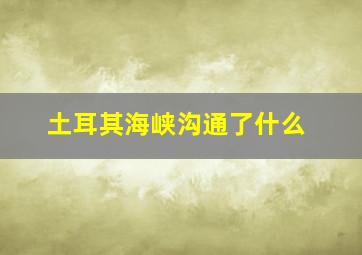 土耳其海峡沟通了什么