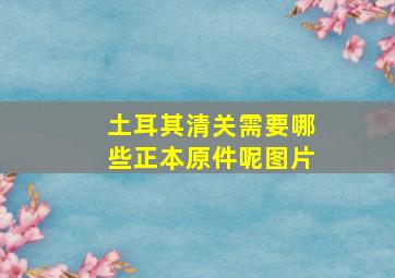 土耳其清关需要哪些正本原件呢图片