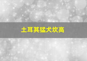 土耳其猛犬坎高