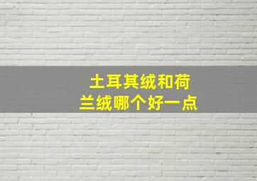 土耳其绒和荷兰绒哪个好一点