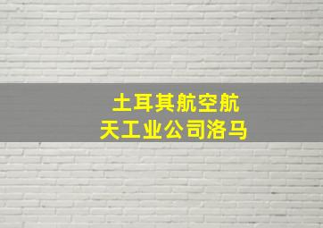 土耳其航空航天工业公司洛马