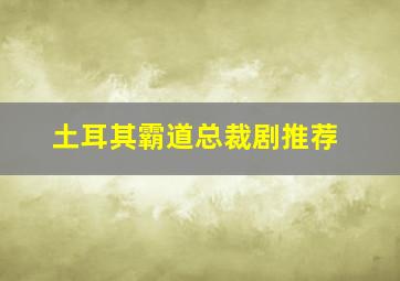 土耳其霸道总裁剧推荐