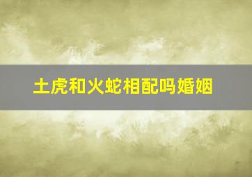 土虎和火蛇相配吗婚姻