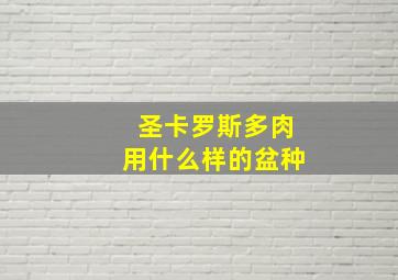 圣卡罗斯多肉用什么样的盆种