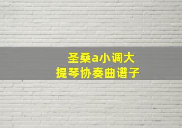 圣桑a小调大提琴协奏曲谱子