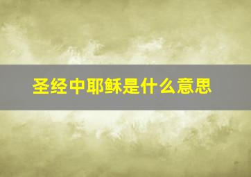 圣经中耶稣是什么意思