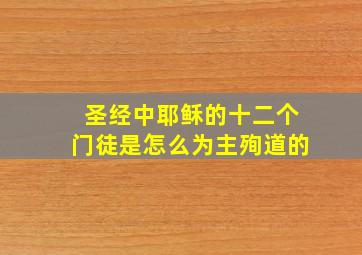 圣经中耶稣的十二个门徒是怎么为主殉道的