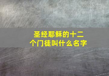 圣经耶稣的十二个门徒叫什么名字