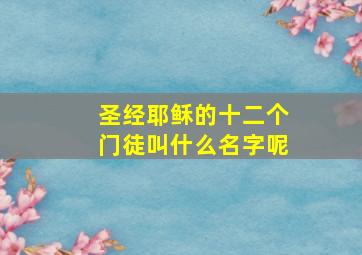 圣经耶稣的十二个门徒叫什么名字呢