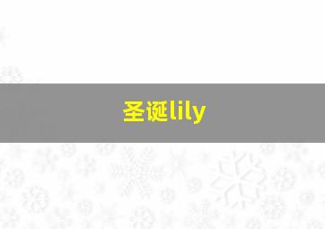 圣诞lily