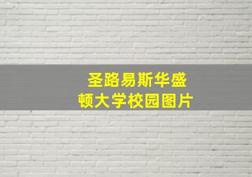 圣路易斯华盛顿大学校园图片