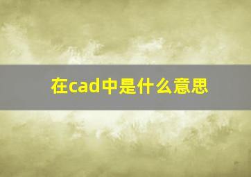 在cad中是什么意思