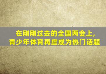 在刚刚过去的全国两会上,青少年体育再度成为热门话题