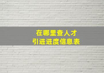 在哪里查人才引进进度信息表