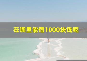 在哪里能借1000块钱呢