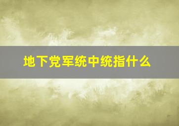 地下党军统中统指什么