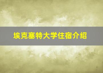 埃克塞特大学住宿介绍