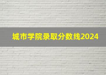 城市学院录取分数线2024