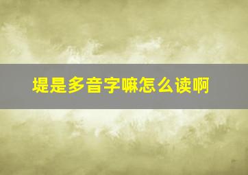 堤是多音字嘛怎么读啊