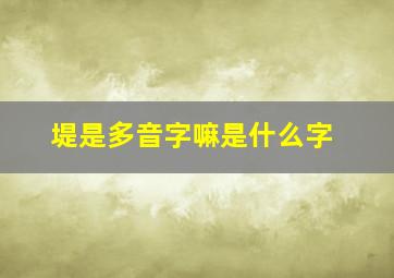 堤是多音字嘛是什么字