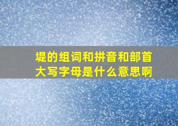 堤的组词和拼音和部首大写字母是什么意思啊