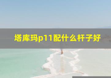 塔库玛p11配什么杆子好