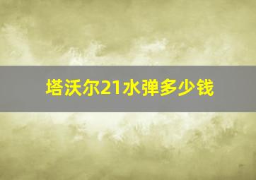 塔沃尔21水弹多少钱