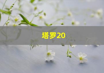 塔罗20