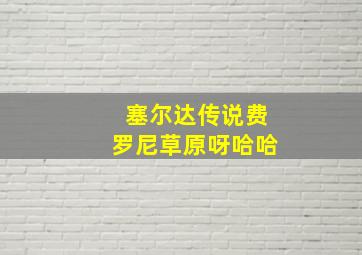 塞尔达传说费罗尼草原呀哈哈