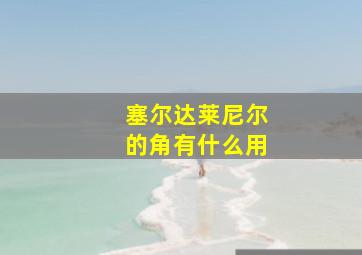 塞尔达莱尼尔的角有什么用