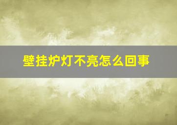 壁挂炉灯不亮怎么回事