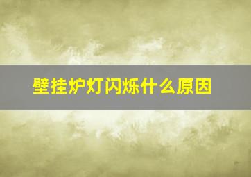 壁挂炉灯闪烁什么原因