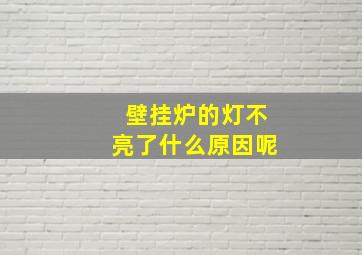 壁挂炉的灯不亮了什么原因呢