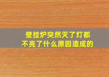 壁挂炉突然灭了灯都不亮了什么原因造成的